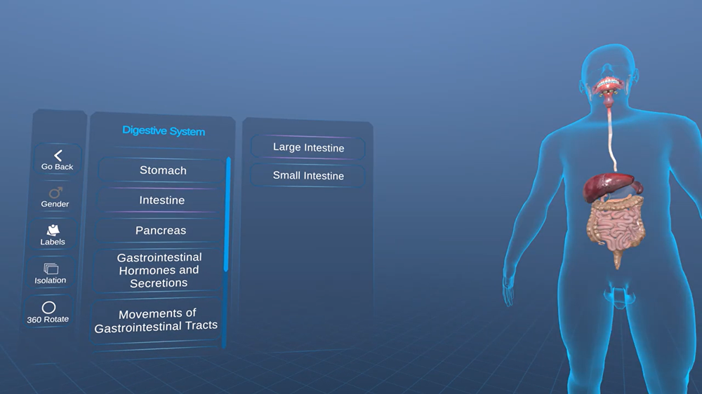 VR for teaching digestive system
